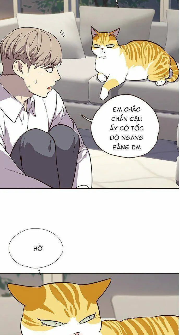 Hoá Thân Thành Mèo Nettruyen ZZZ Chương 21 Page 43