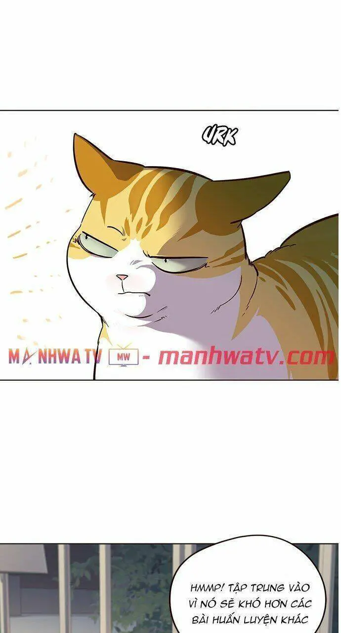 Hoá Thân Thành Mèo Nettruyen ZZZ Chương 21 Page 55