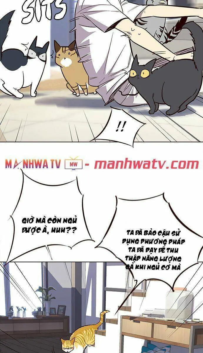 Hoá Thân Thành Mèo Nettruyen ZZZ Chương 21 Page 68