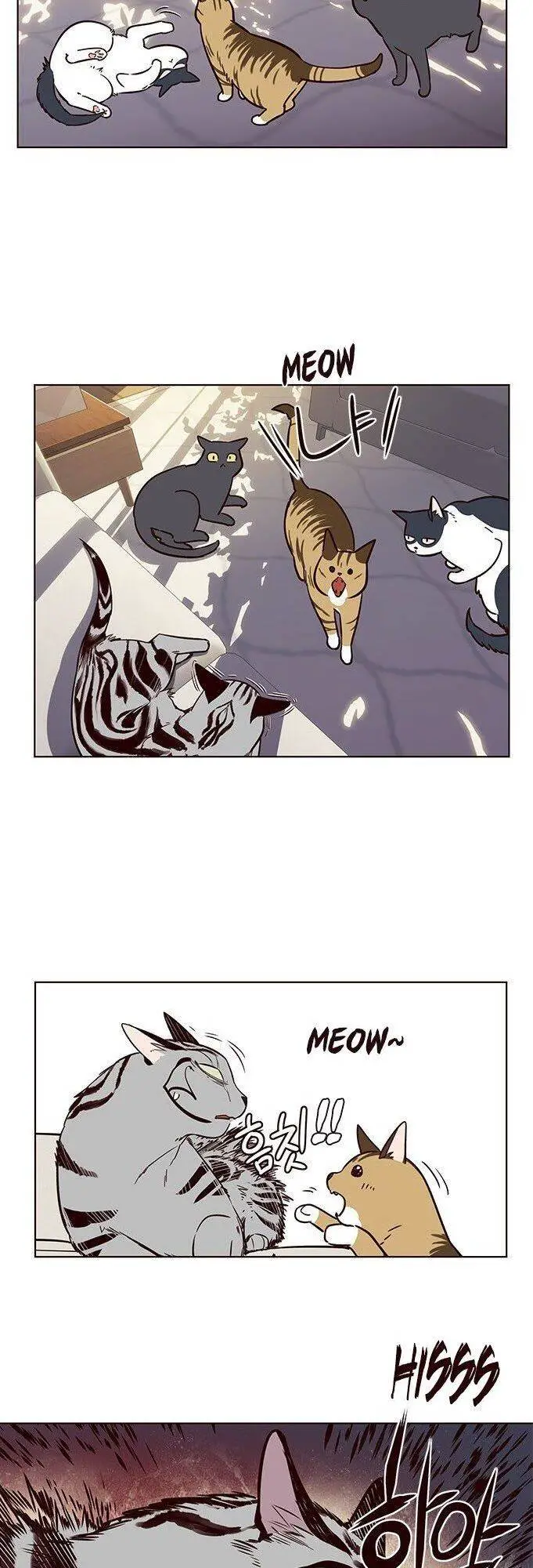 Hoá Thân Thành Mèo Nettruyen ZZZ Chương 7 Page 37