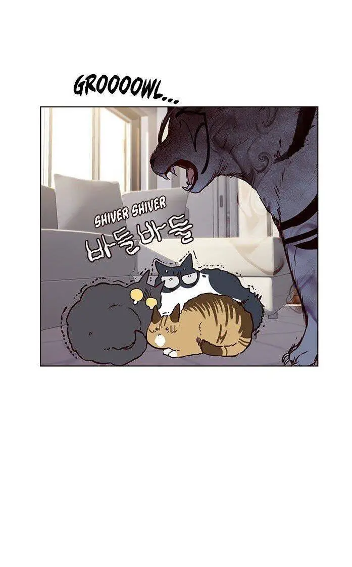 Hoá Thân Thành Mèo Nettruyen ZZZ Chương 7 Page 41