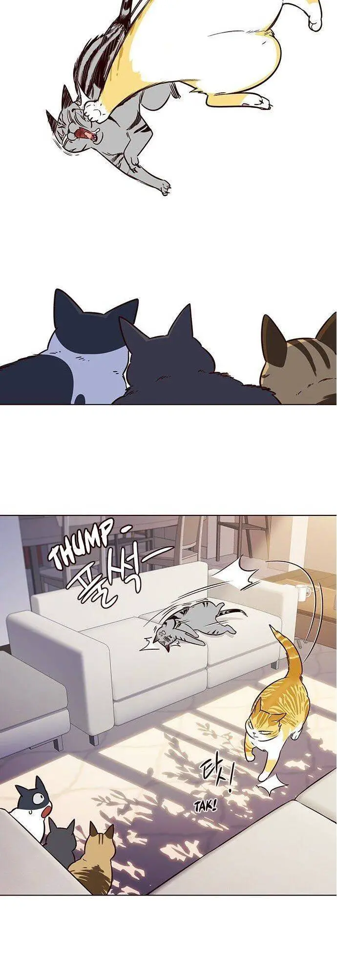 Hoá Thân Thành Mèo Nettruyen ZZZ Chương 7 Page 44