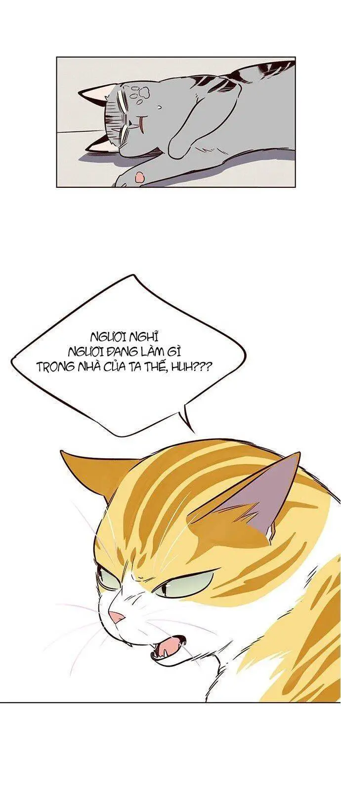 Hoá Thân Thành Mèo Nettruyen ZZZ Chương 7 Page 45