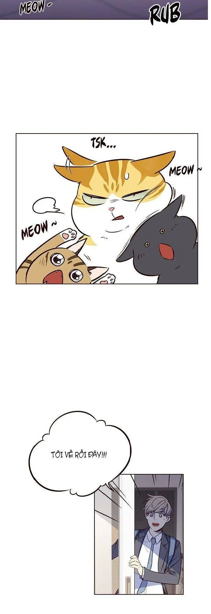 Hoá Thân Thành Mèo Nettruyen ZZZ Chương 7 Page 47