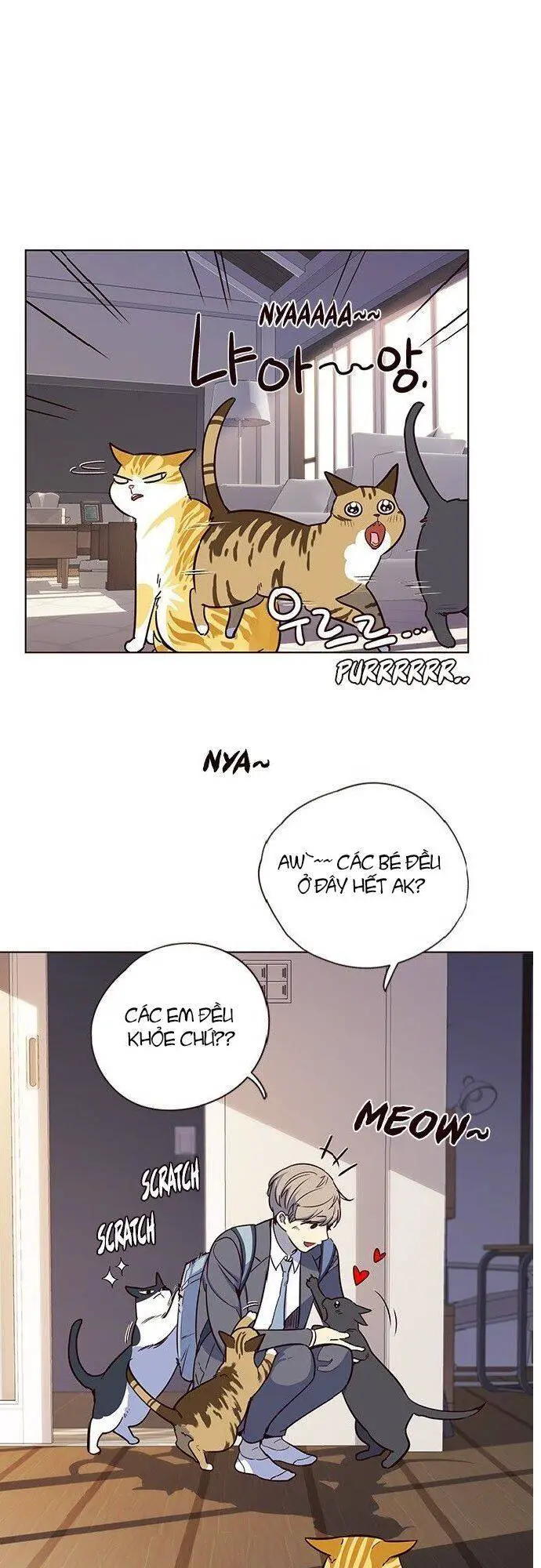 Hoá Thân Thành Mèo Nettruyen ZZZ Chương 7 Page 48