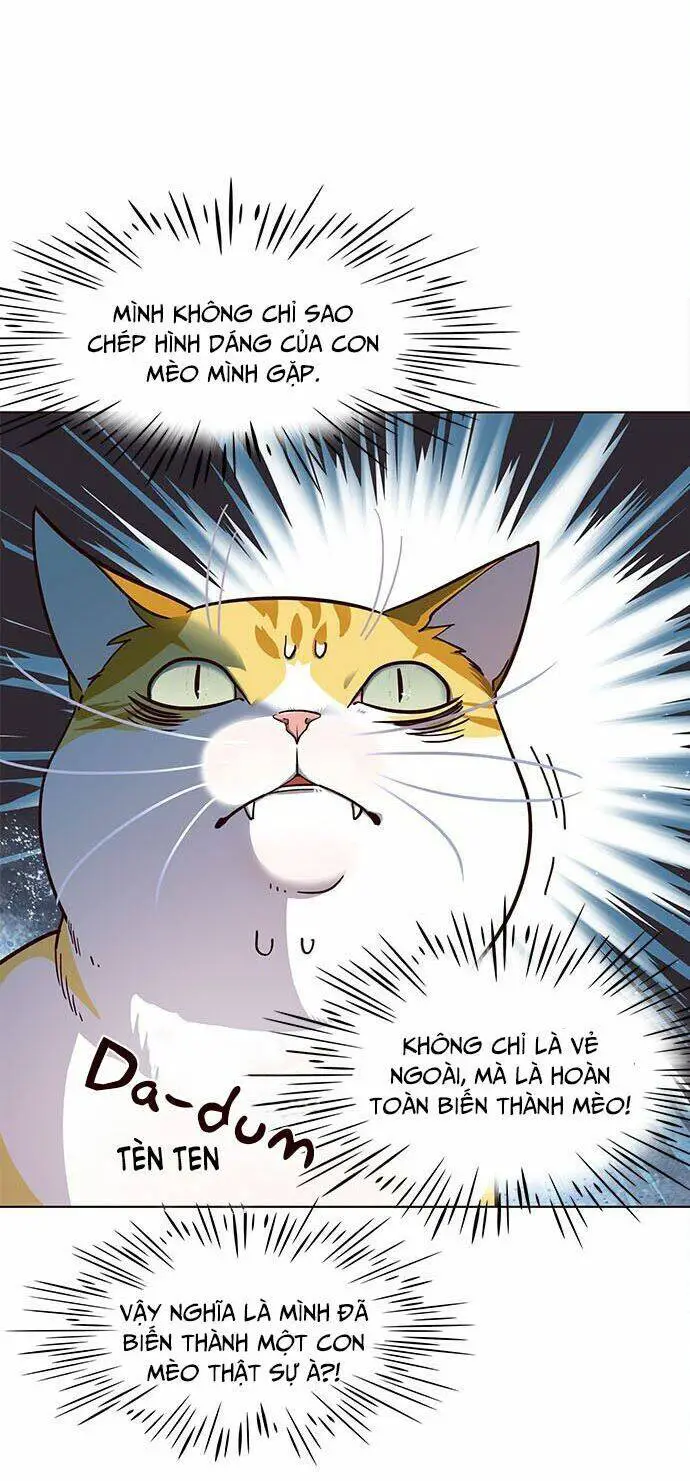 Hoá Thân Thành Mèo Nettruyen ZZZ Chương 16 Page 12