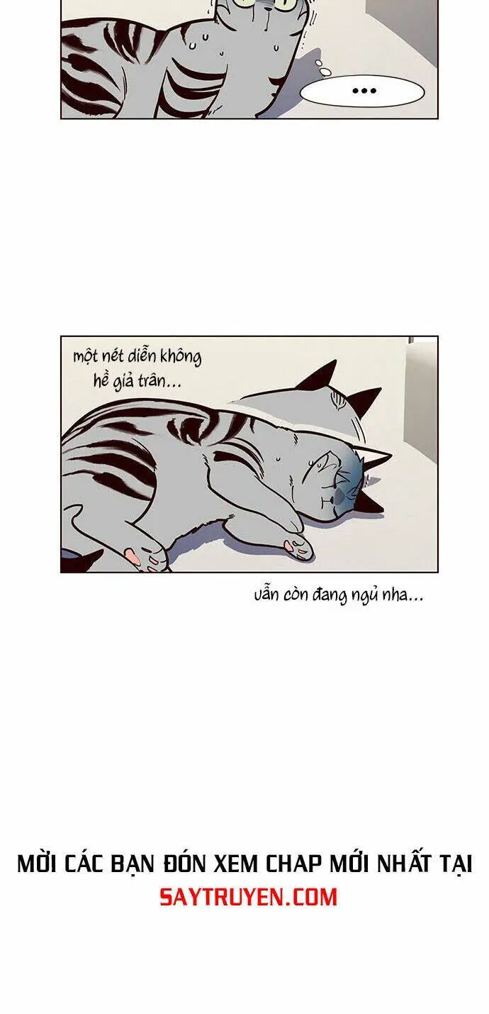 Hoá Thân Thành Mèo Nettruyen ZZZ Chương 16 Page 17
