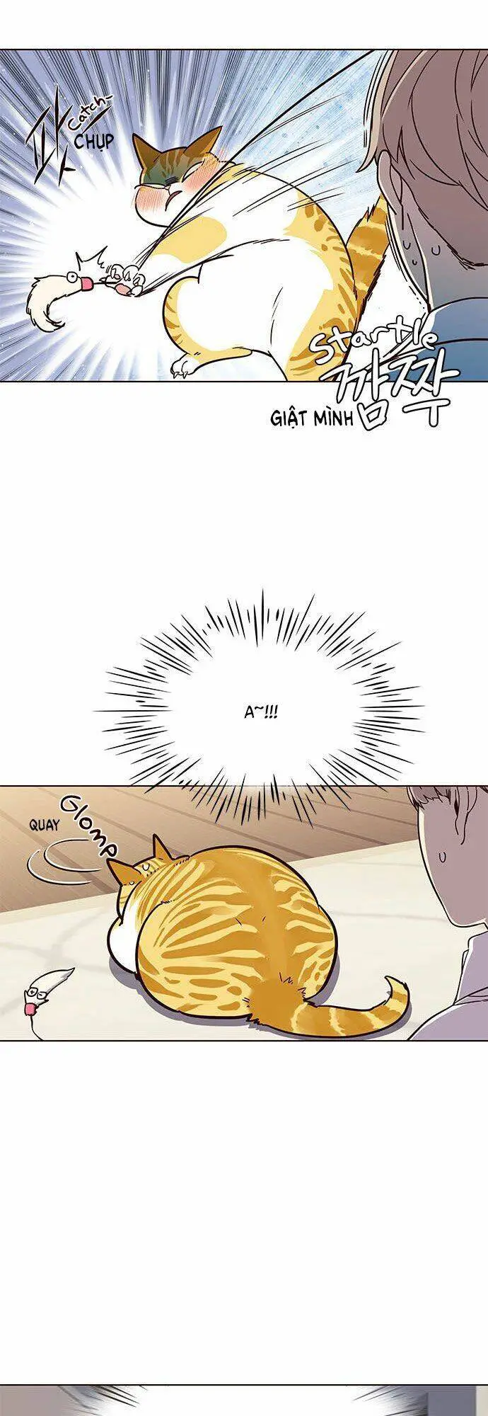 Hoá Thân Thành Mèo Nettruyen ZZZ Chương 16 Page 23