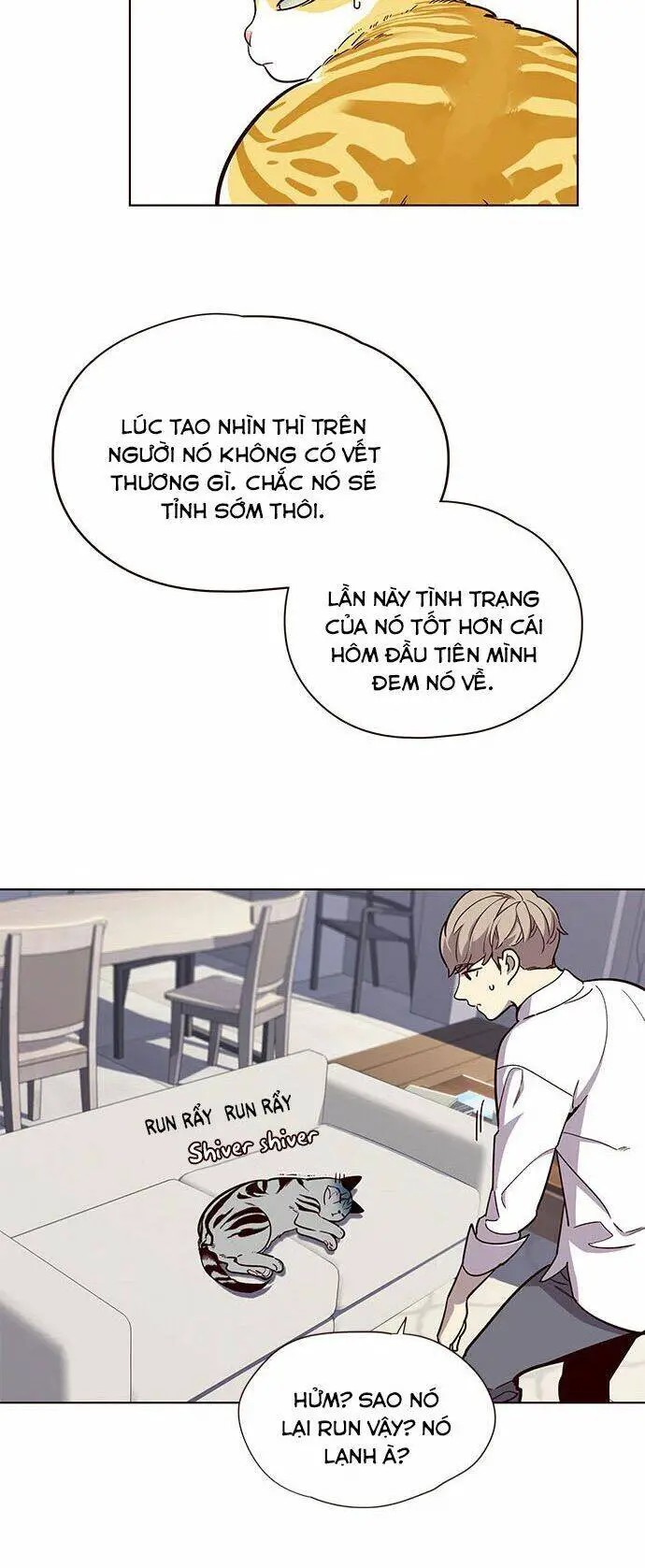 Hoá Thân Thành Mèo Nettruyen ZZZ Chương 16 Page 26