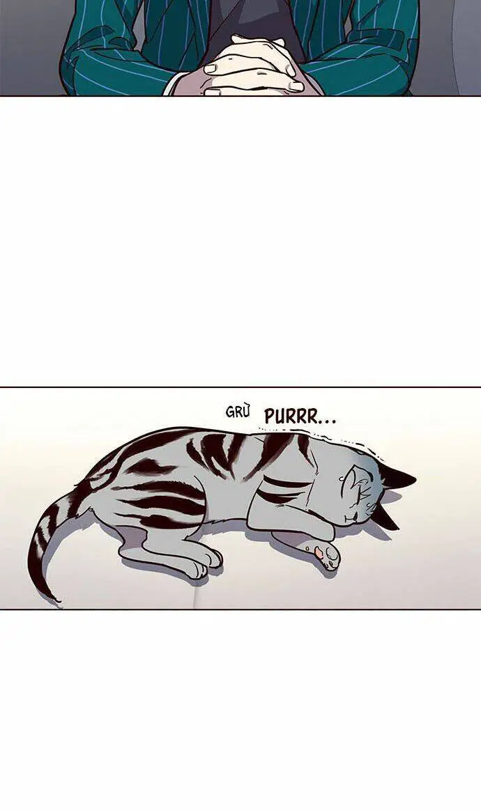 Hoá Thân Thành Mèo Nettruyen ZZZ Chương 16 Page 43