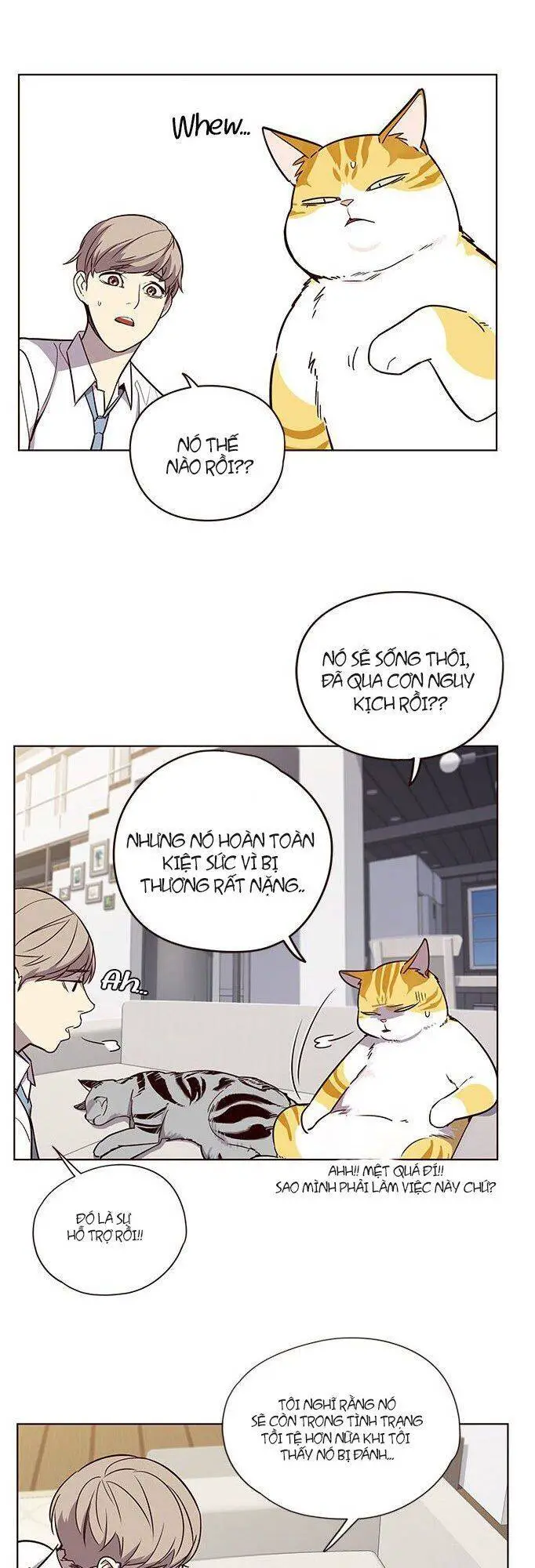 Hoá Thân Thành Mèo Nettruyen ZZZ Chương 6 Page 3