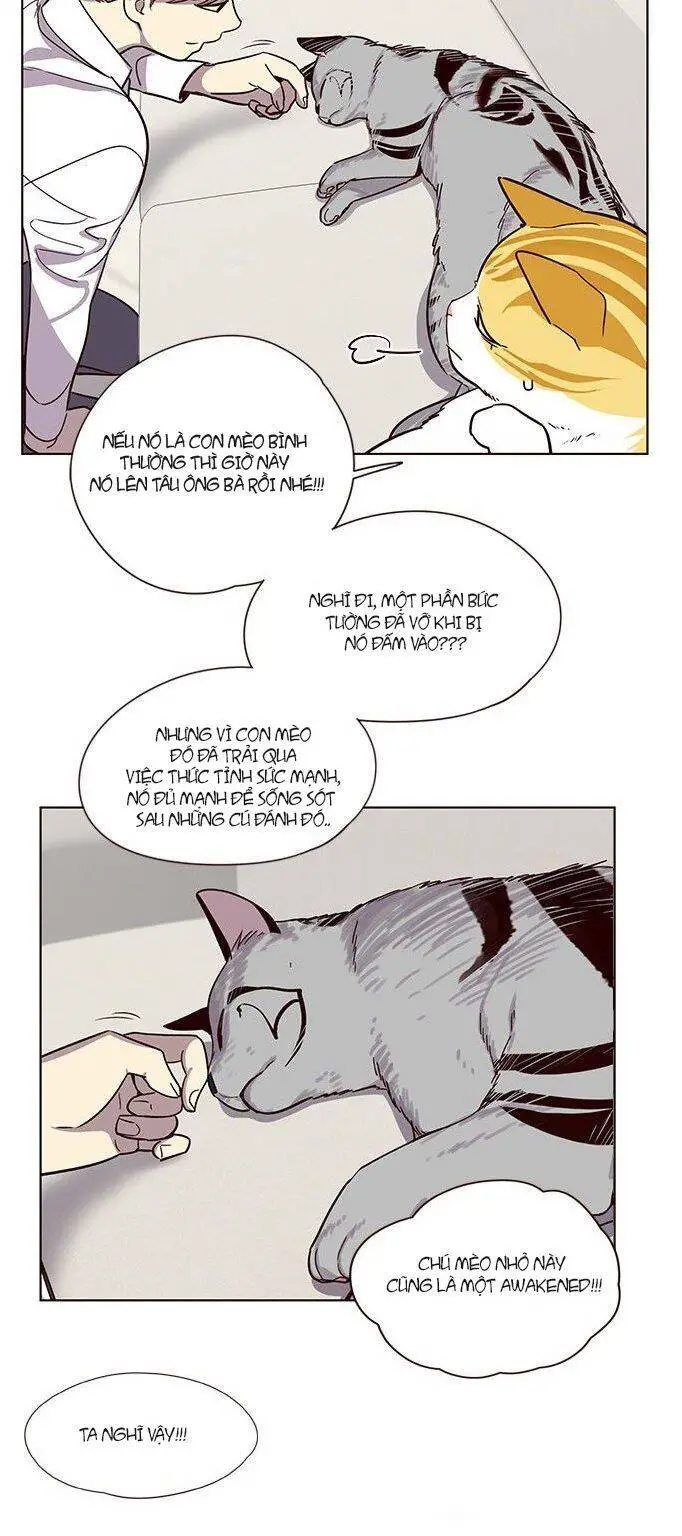 Hoá Thân Thành Mèo Nettruyen ZZZ Chương 6 Page 4