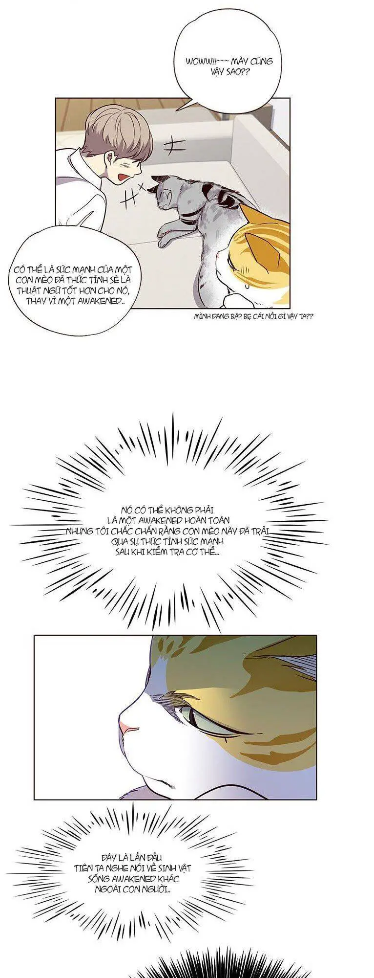 Hoá Thân Thành Mèo Nettruyen ZZZ Chương 6 Page 5