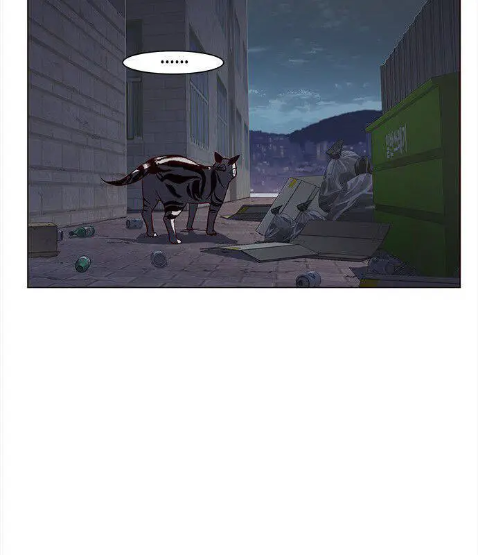 Hoá Thân Thành Mèo Nettruyen ZZZ Chương 3 Page 17