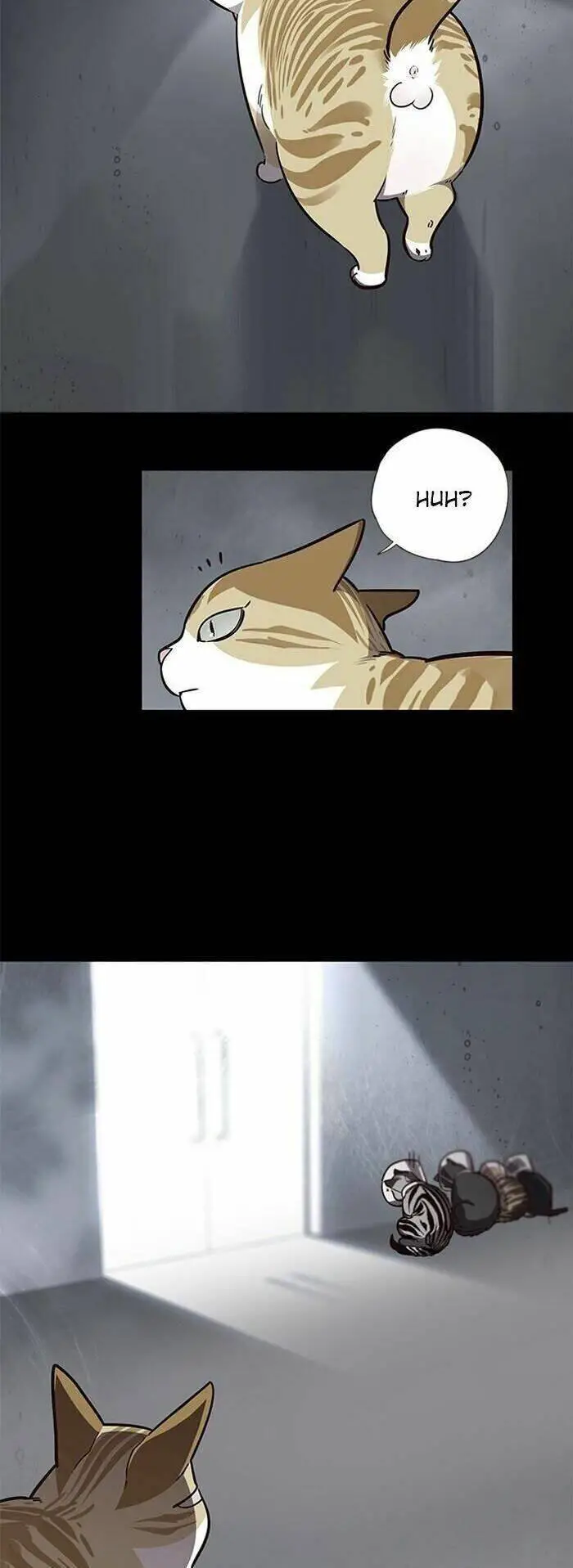 Hoá Thân Thành Mèo Nettruyen ZZZ Chương 56 Page 4
