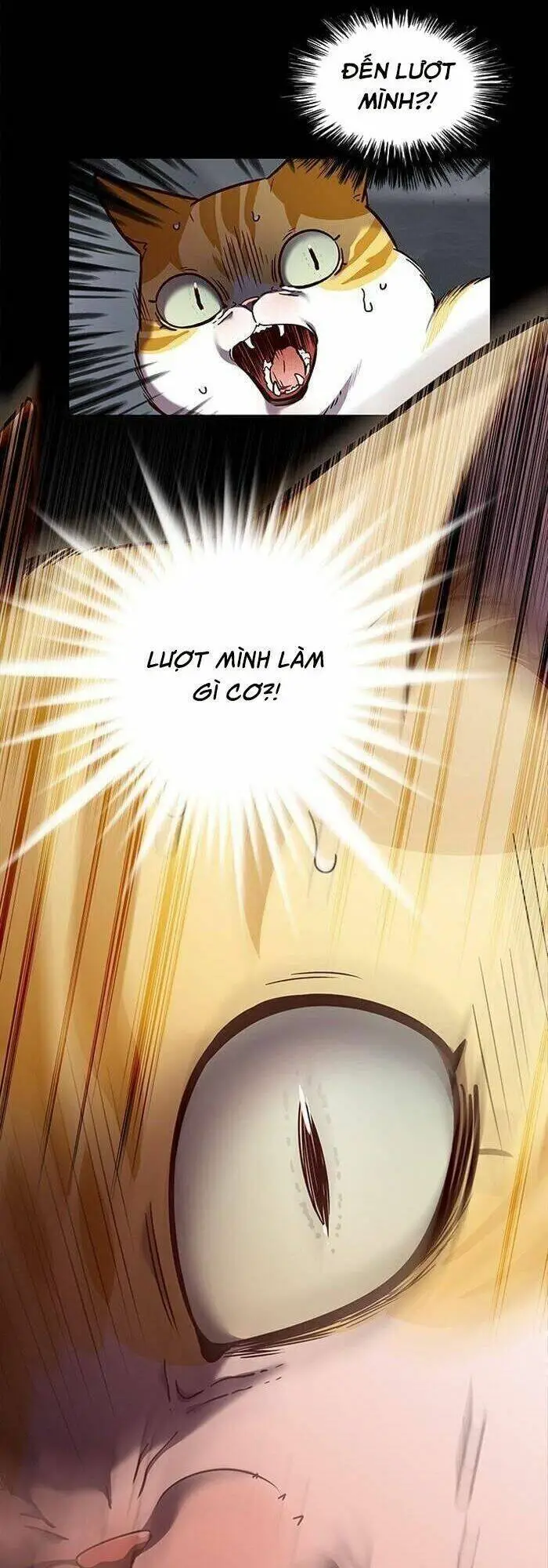 Hoá Thân Thành Mèo Nettruyen ZZZ Chương 56 Page 9
