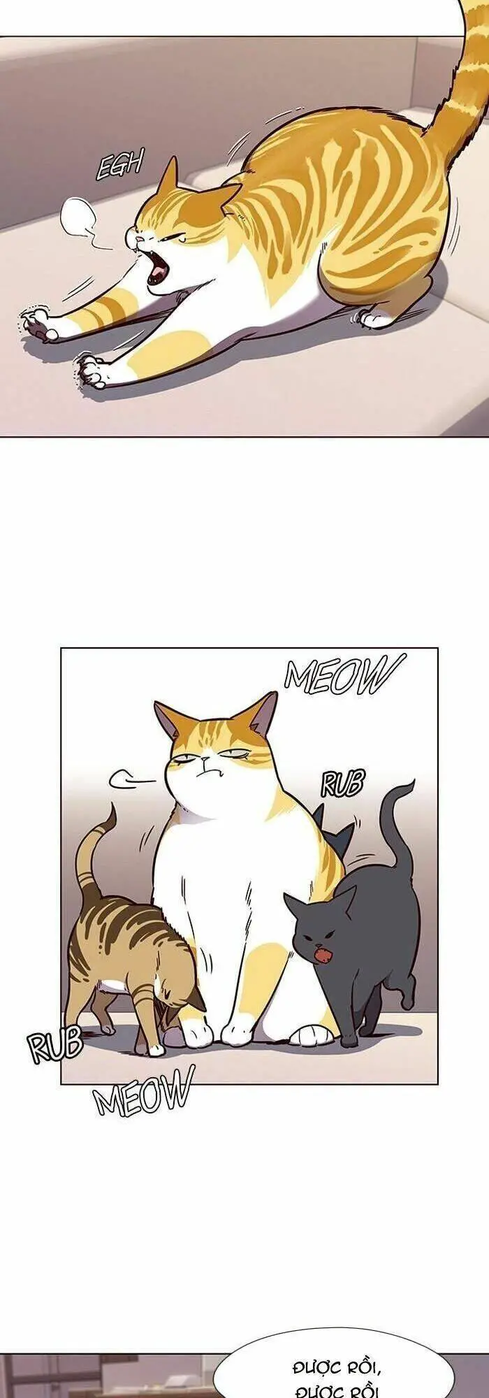 Hoá Thân Thành Mèo Nettruyen ZZZ Chương 56 Page 36