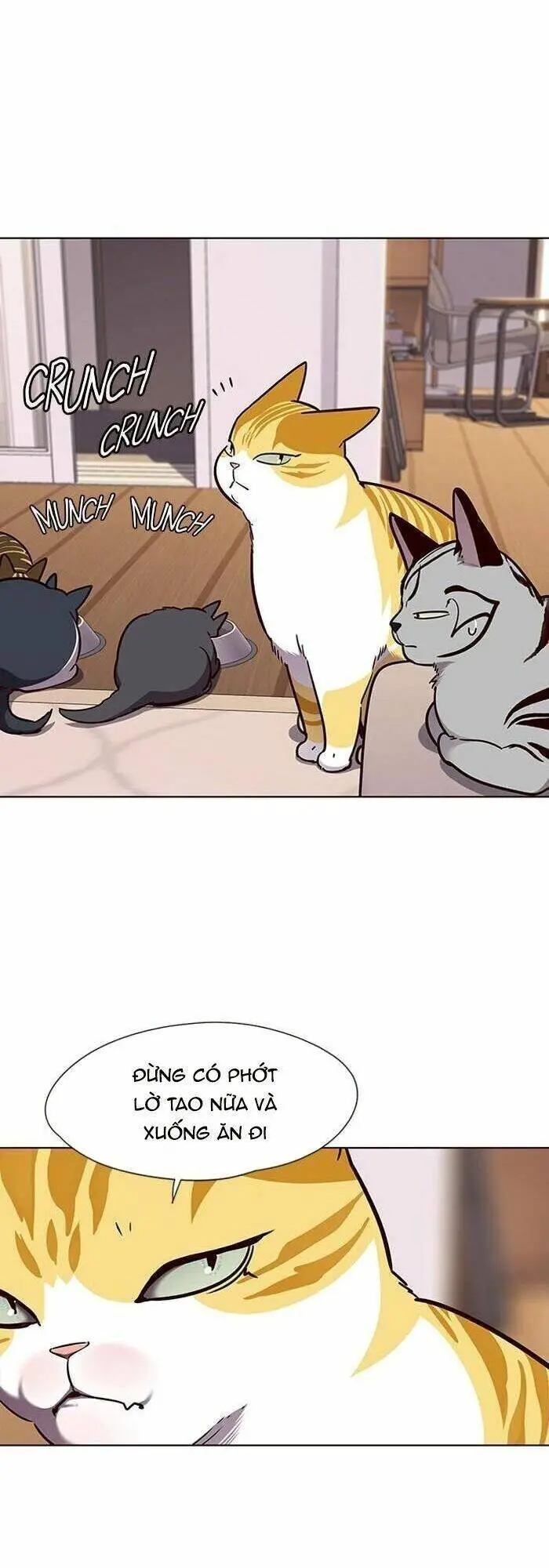 Hoá Thân Thành Mèo Nettruyen ZZZ Chương 56 Page 39