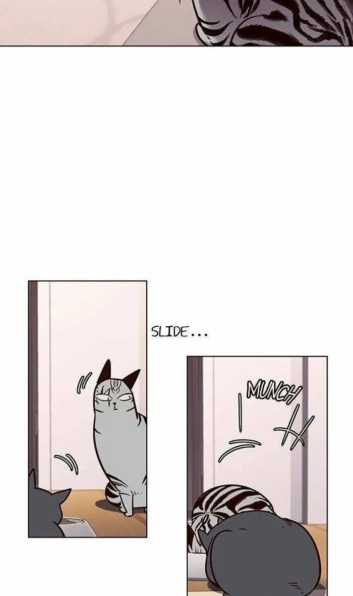 Hoá Thân Thành Mèo Nettruyen ZZZ Chương 56 Page 41