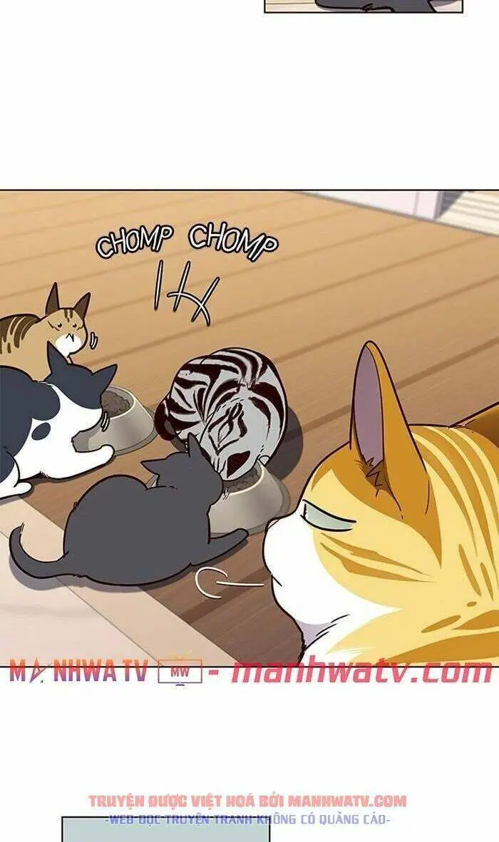 Hoá Thân Thành Mèo Nettruyen ZZZ Chương 56 Page 42