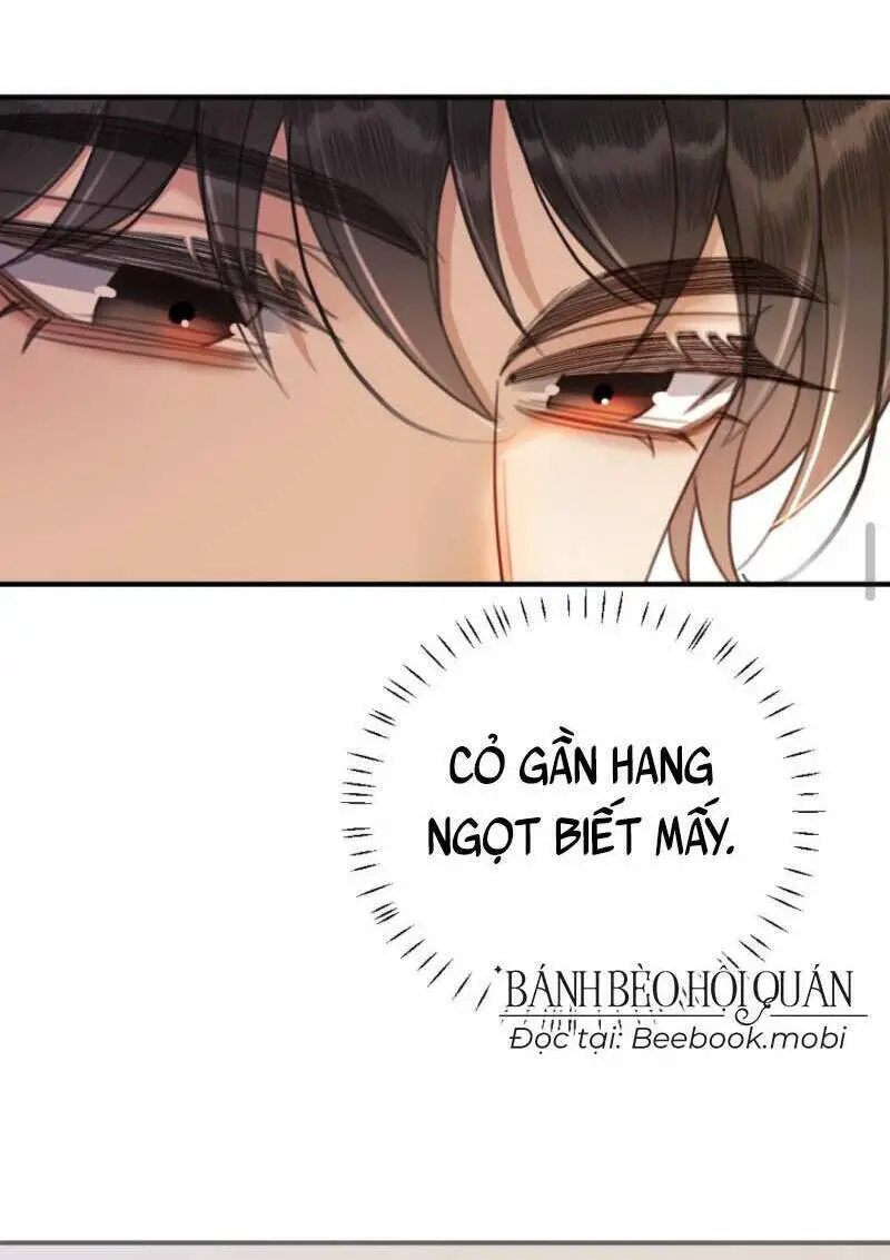 Cùng Đỉnh Luu Ảnh Đế Yêu Đương Phát Đường Nettruyen ZZZ Chương 34 Page 22