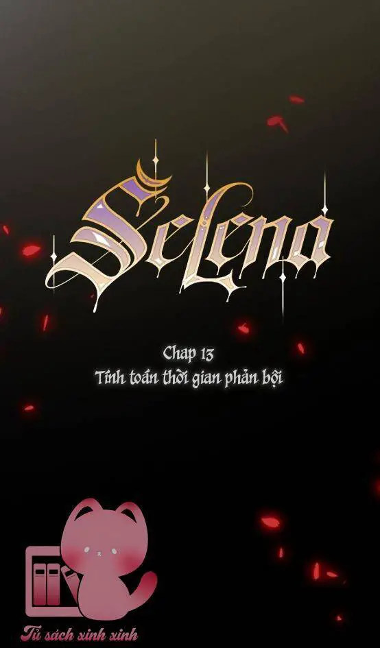 Serena Nettruyen ZZZ Chương 13 Page 14