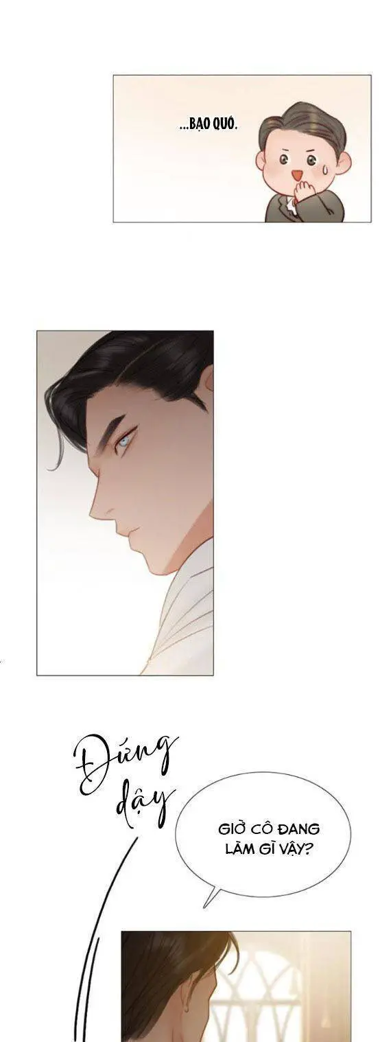 Serena Nettruyen ZZZ Chương 10 Page 18