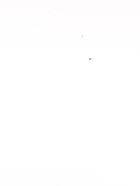 Serena Nettruyen ZZZ Chương 51.1 Page 109