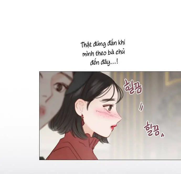 Serena Nettruyen ZZZ Chương 1.2 Page 13
