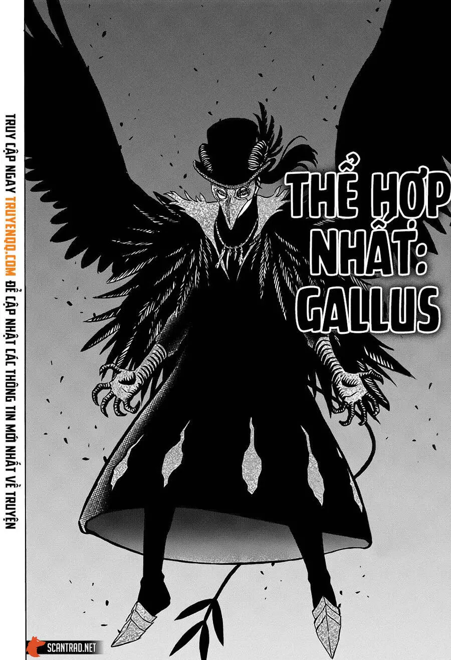 Black Clover - Thế Giới Phép Thuật Nettruyen ZZZ Chương 285 Page 5