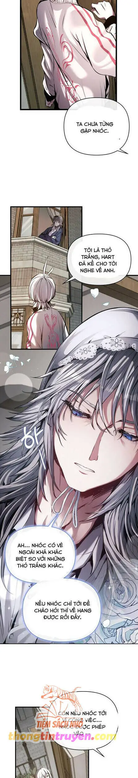 Thỏ Trắng Ở Xứ Sở Thần Tiên Nettruyen ZZZ Chương 3 Page 17