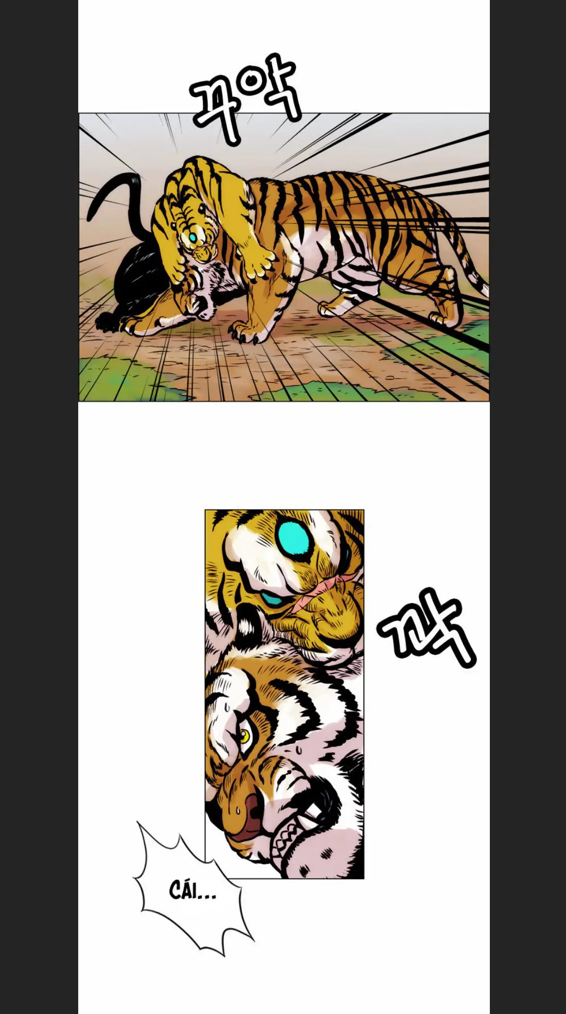 Anh Trai Tôi Là Hổ Nettruyen ZZZ Chương 13 Page 18