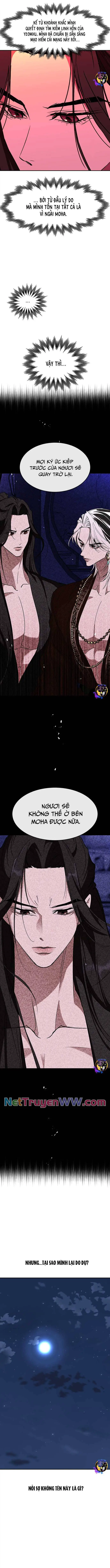 Chiến Lược Săn Hổ Của Nữ Thần Nettruyen ZZZ Chương 65 Page 16