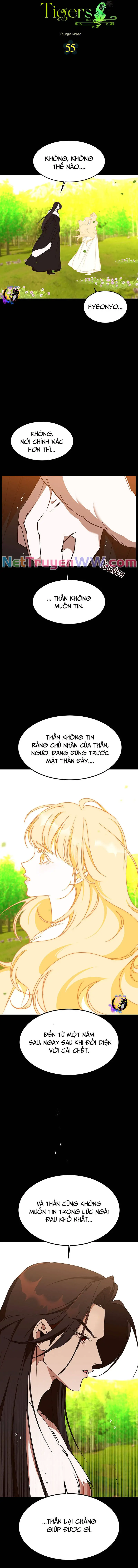 Chiến Lược Săn Hổ Của Nữ Thần Nettruyen ZZZ Chương 55 Page 9