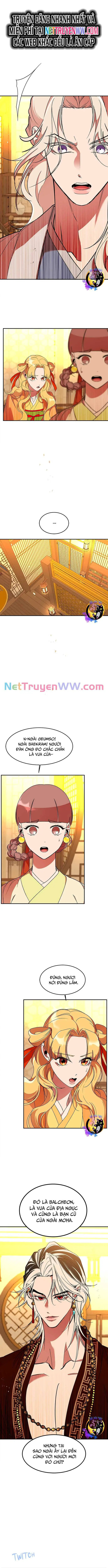 Chiến Lược Săn Hổ Của Nữ Thần Nettruyen ZZZ Chương 62 Page 1