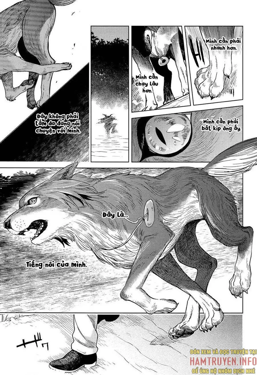 Cô Dâu Pháp Sư Nettruyen ZZZ Chương 30 Page 25