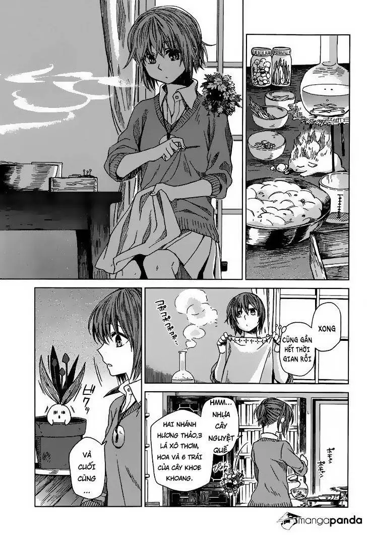 Cô Dâu Pháp Sư Nettruyen ZZZ Chương 9 Page 4