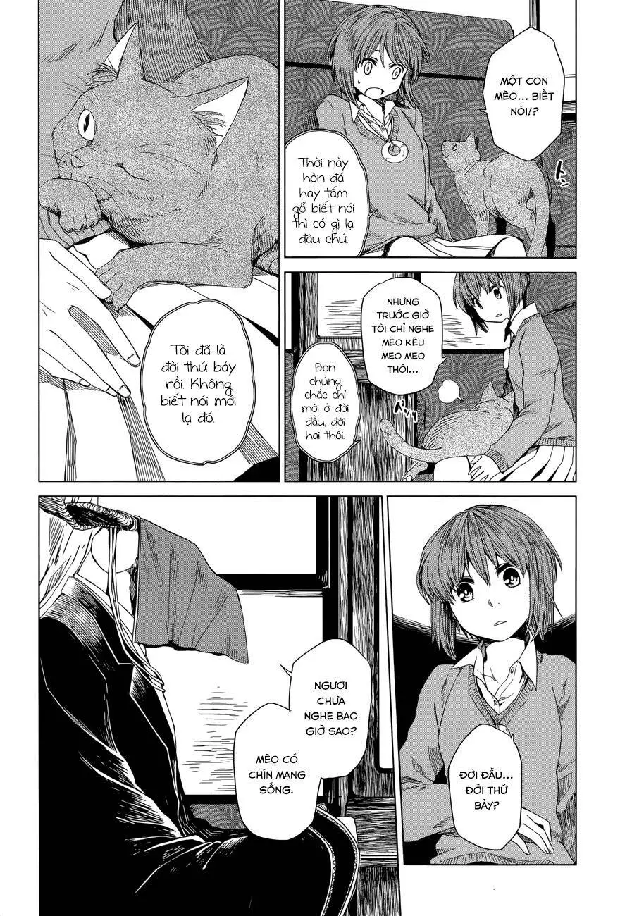 Cô Dâu Pháp Sư Nettruyen ZZZ Chương 4 Page 8