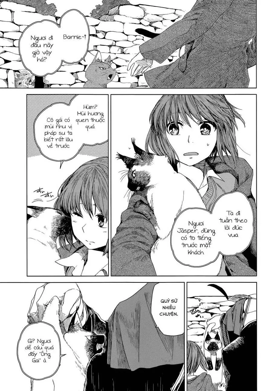 Cô Dâu Pháp Sư Nettruyen ZZZ Chương 4 Page 11