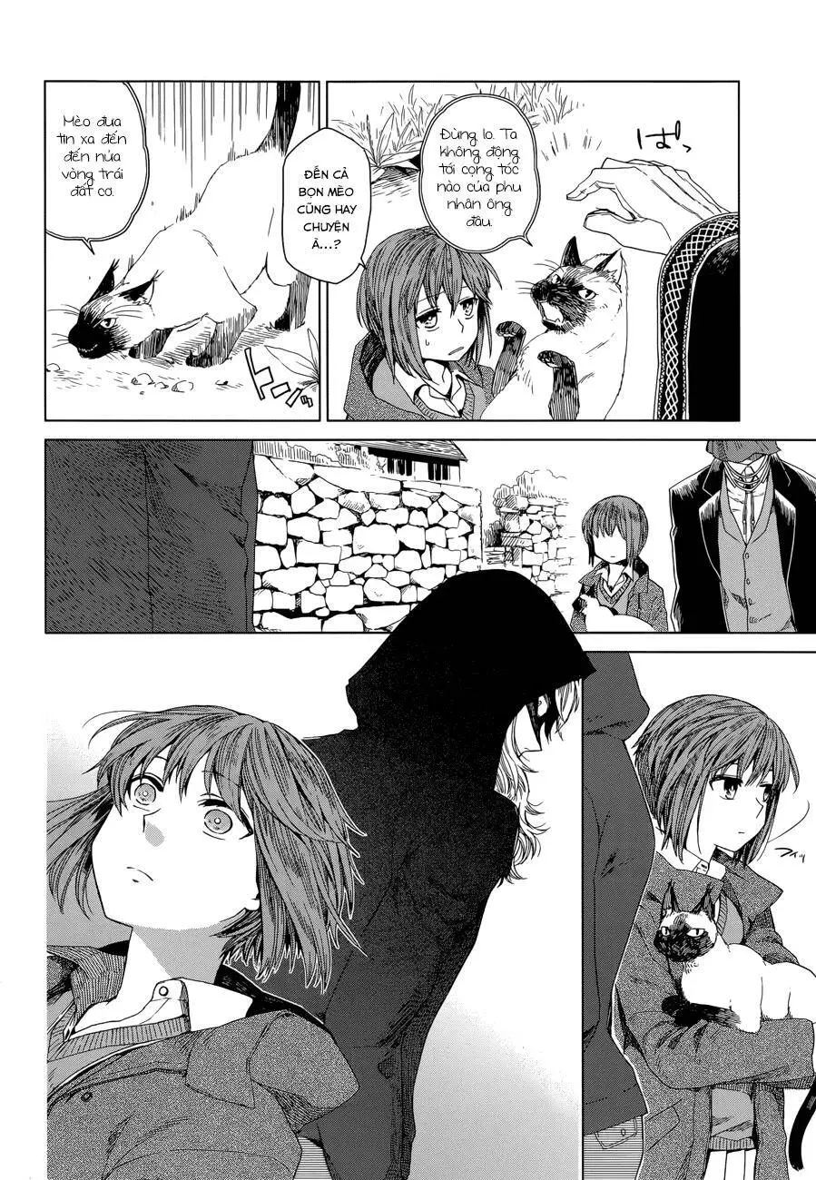 Cô Dâu Pháp Sư Nettruyen ZZZ Chương 4 Page 12