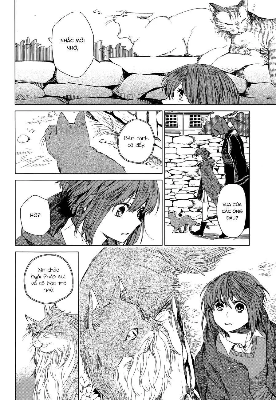 Cô Dâu Pháp Sư Nettruyen ZZZ Chương 4 Page 14