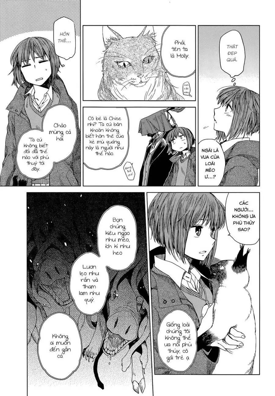 Cô Dâu Pháp Sư Nettruyen ZZZ Chương 4 Page 15