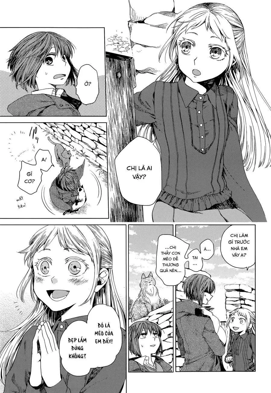 Cô Dâu Pháp Sư Nettruyen ZZZ Chương 4 Page 17