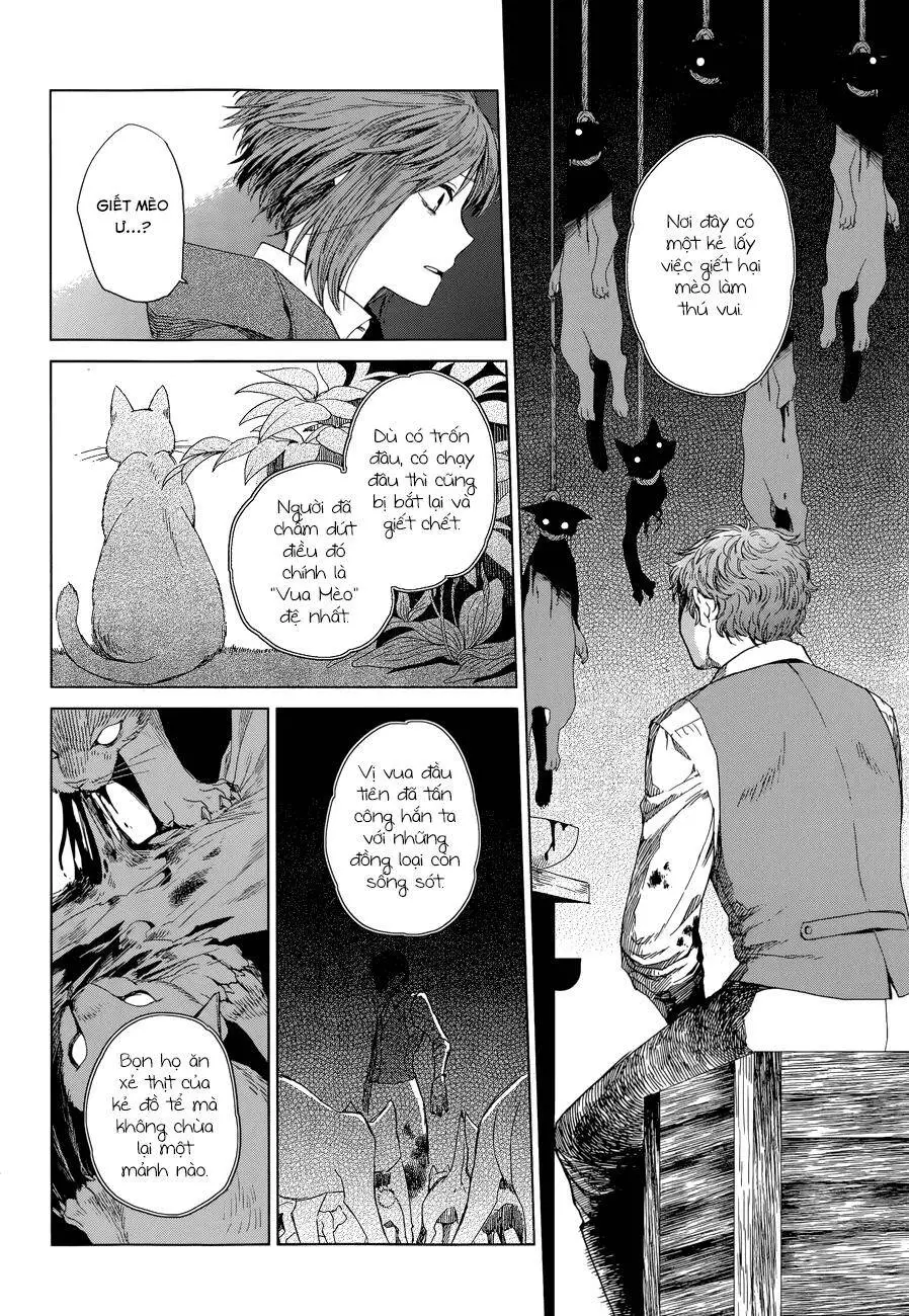 Cô Dâu Pháp Sư Nettruyen ZZZ Chương 4 Page 20