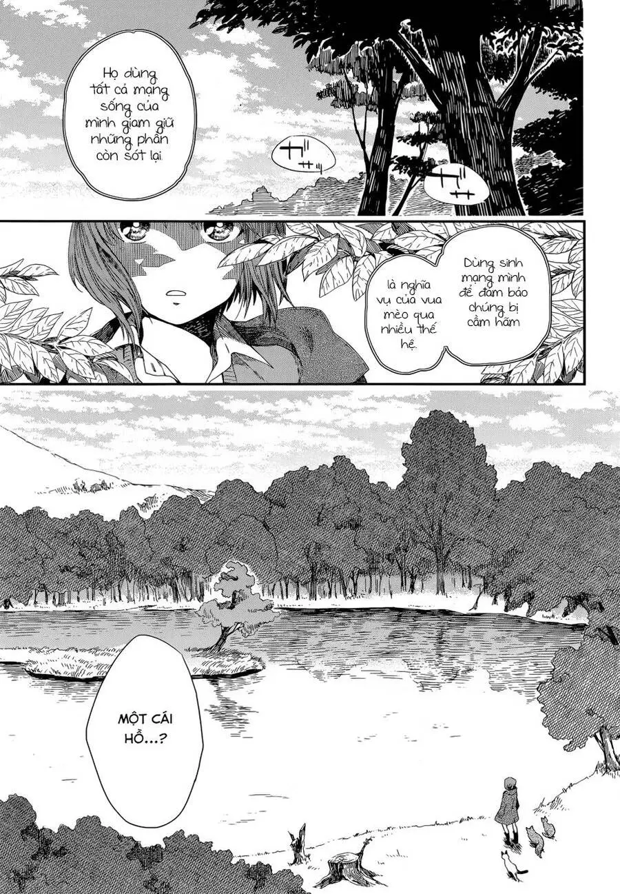 Cô Dâu Pháp Sư Nettruyen ZZZ Chương 4 Page 21