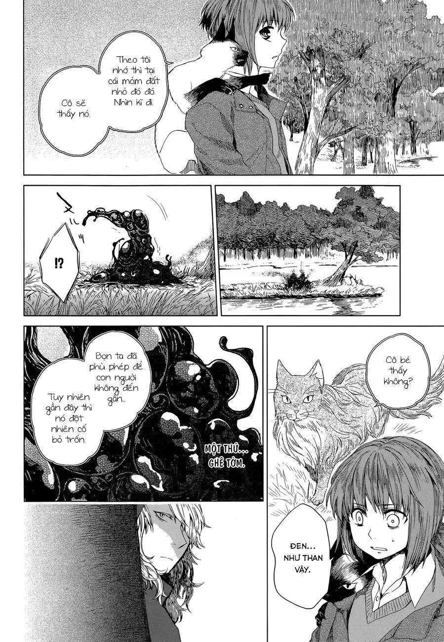Cô Dâu Pháp Sư Nettruyen ZZZ Chương 4 Page 22