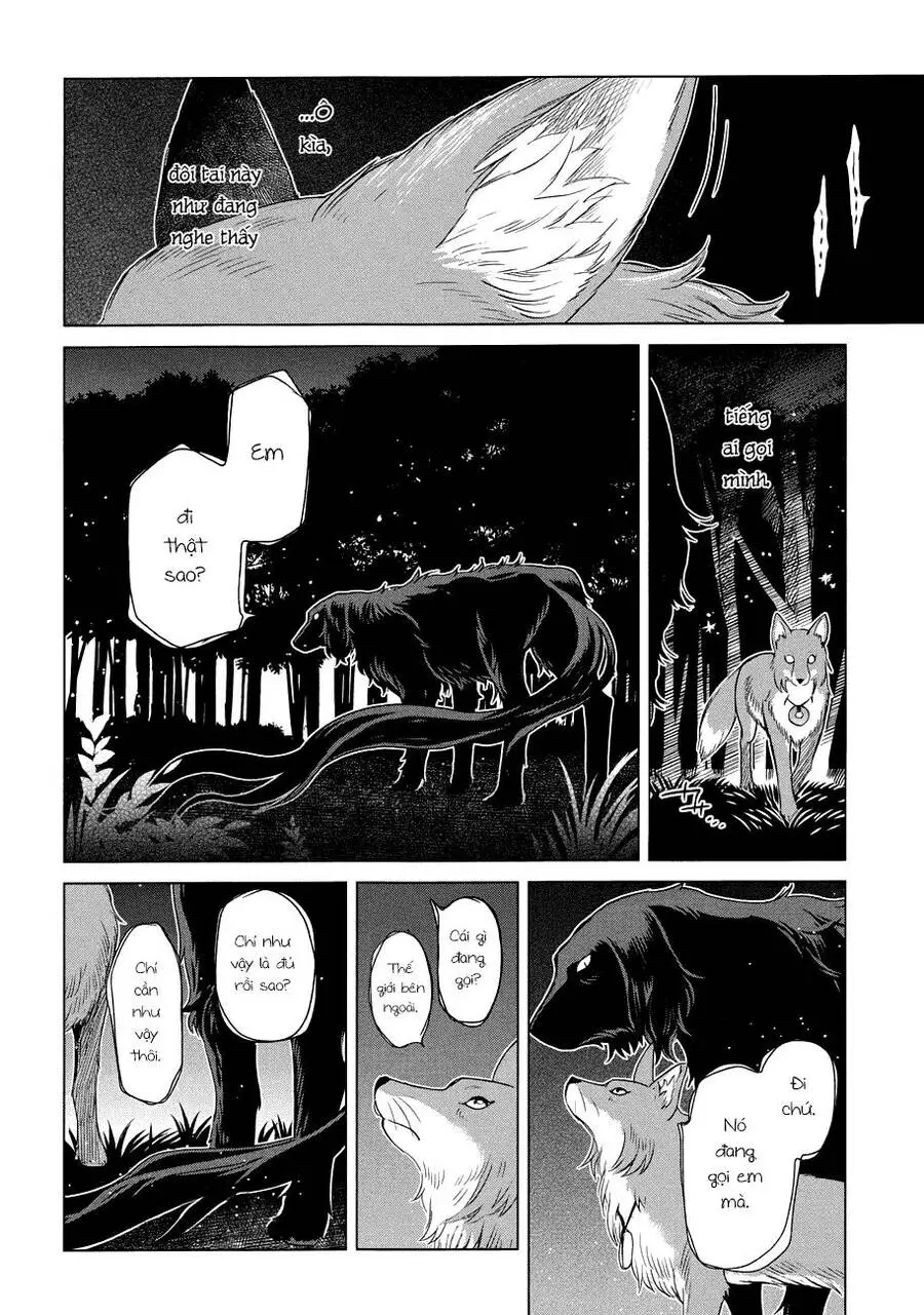 Cô Dâu Pháp Sư Nettruyen ZZZ Chương 20 Page 31