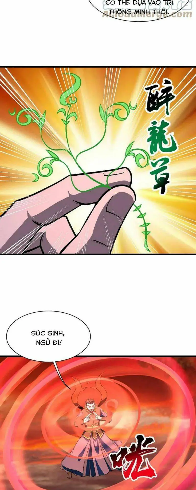 Cái Thế Đế Tôn Nettruyen ZZZ Chương 313 Page 8