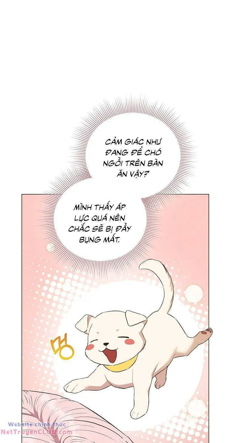 Này Người Chồng Phản Diện, Ngài Ám Ảnh Sai Người Rồi Nettruyen ZZZ Chương 5 Page 57