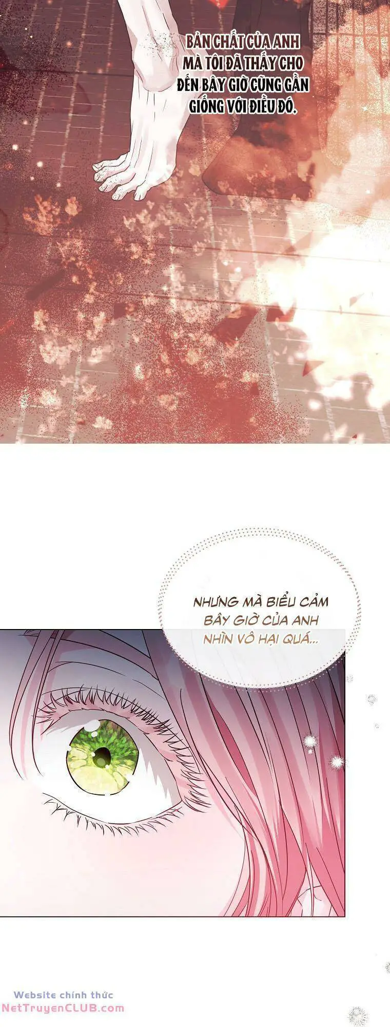 Này Người Chồng Phản Diện, Ngài Ám Ảnh Sai Người Rồi Nettruyen ZZZ Chương 24 Page 34